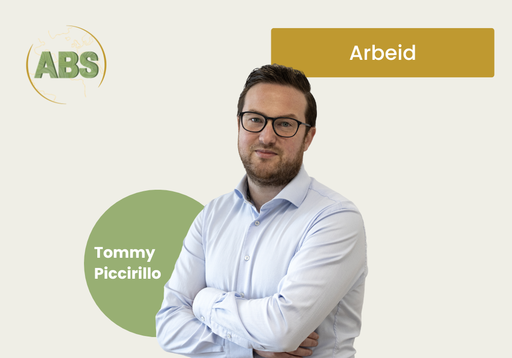 expertises (web) tpi