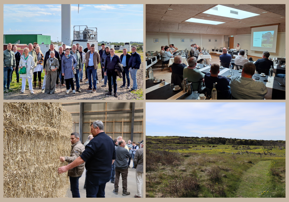 efa excursie denemarken 2026 website